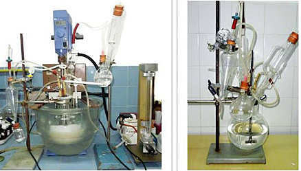 Biorreactor artesanal