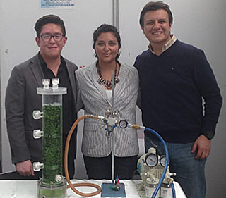 Biorreactor para producción de biocombustibles