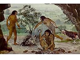 El hombre como cazador-recolector