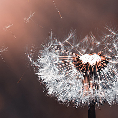 Timeline: Línea de tiempo multimedia