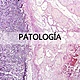 Que es patologia 1 638