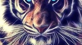 Timeline: timeline-Alejandro rodriguez