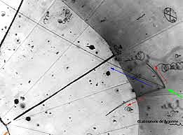Descobriment del neutrí