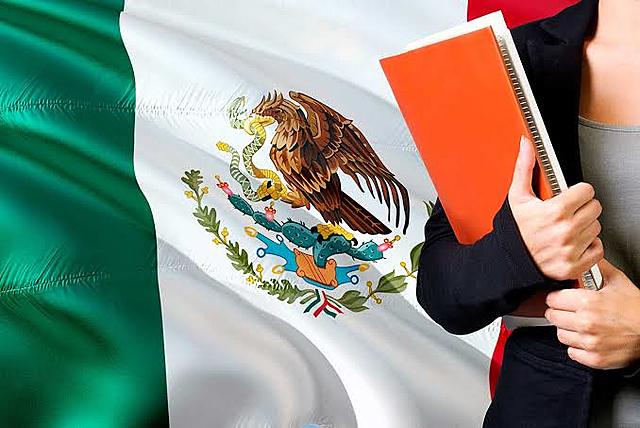 Pedagogía Mexicana : nueva educación