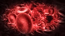 Timeline: La sangre en la historia de la humanidad