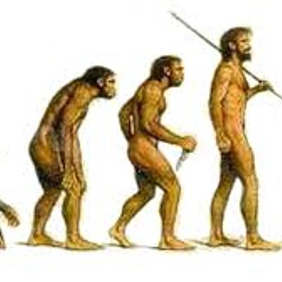 Timeline: proceso evolutivo