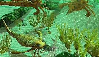 Extinción del Devónico-Carbonífero