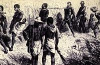 Abolición de la esclavitud en Colombia.(1850)