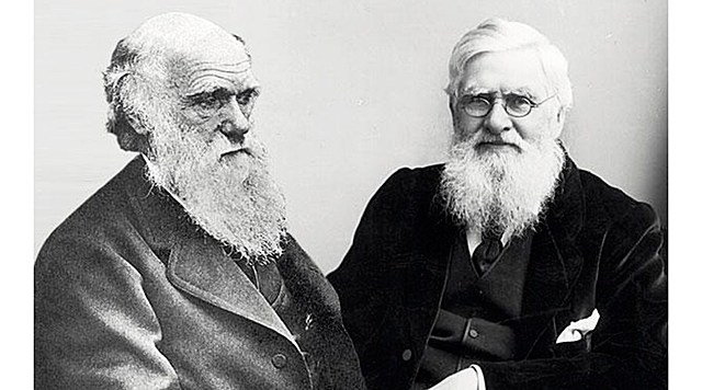 Darwin y Wallace