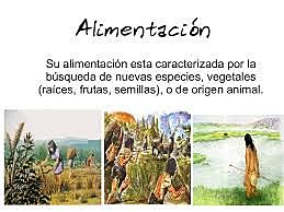 Periodo Paleolítico