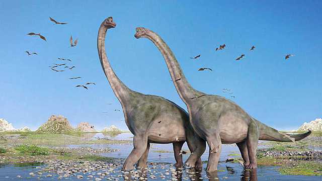 Appearance of the Dinosaurs.
