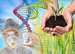 Uso del sistema HACCP