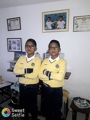 Iba creciendo poco a poco