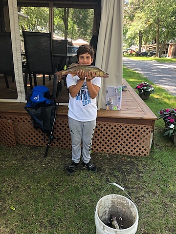 Premier doré à vie!