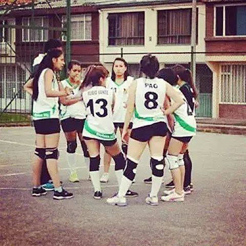 Voleibol