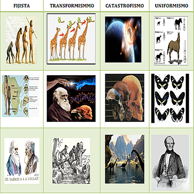 Timeline: Conceptos de Evolución en el tiempo
