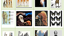 Timeline: Conceptos de Evolución en el tiempo