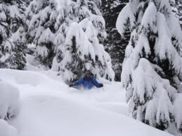 The Donners are left behind.