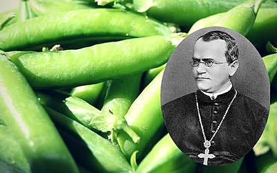 Gregor Mendel
