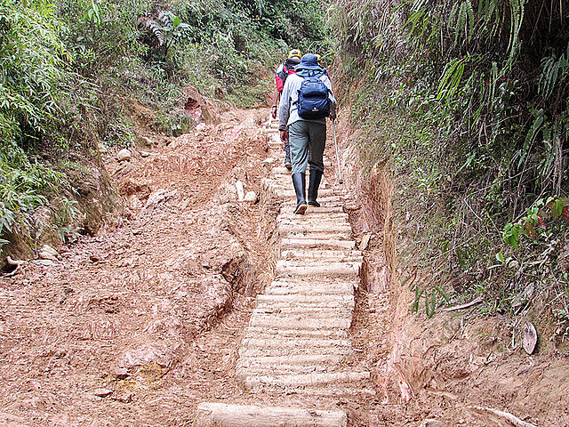 Caminos de herradura