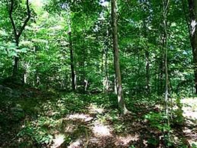 The Forlorn Hope's human meat is gone.