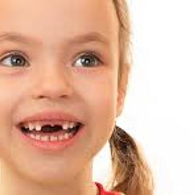 Timeline: Desarrollo de dentición