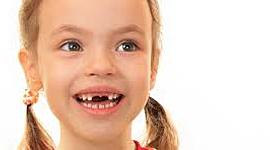 Timeline: Desarrollo de dentición