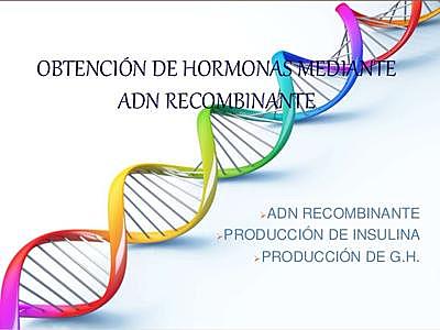 ADN recombinante