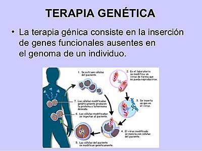 Terapia genética