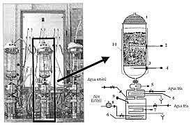 Biorreactor en columna estéril