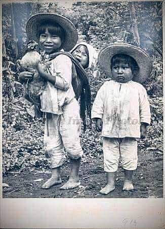 El proyecto de educación técnica