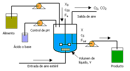 Desarrollo de miocardio en biorreactor