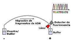 Tres grupos anónimos