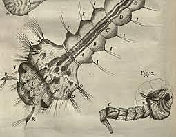 Aguas de todas clases