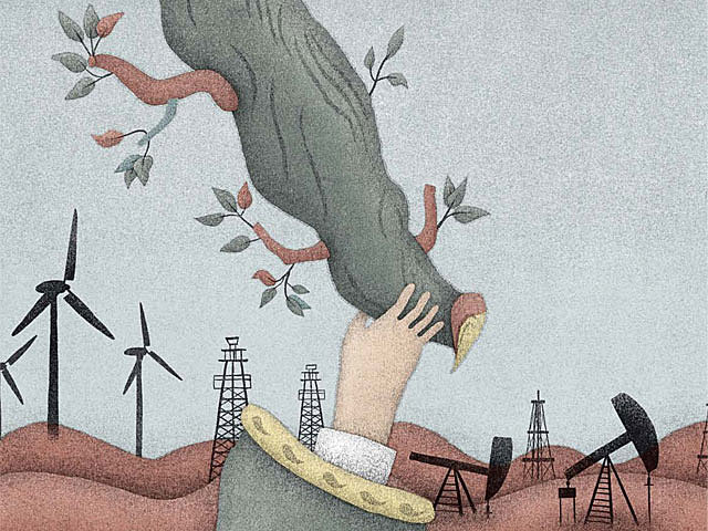 Se comienzan a generar cambios con respecto a los recursos naturales