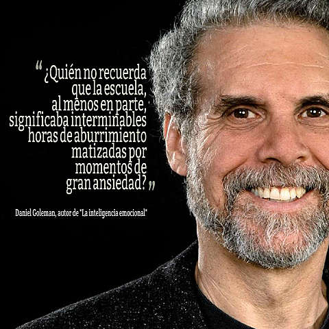 APORTES DANIEL GOLEMAN