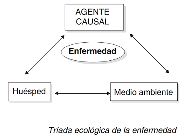 Triada ecologica de la enfermedad.