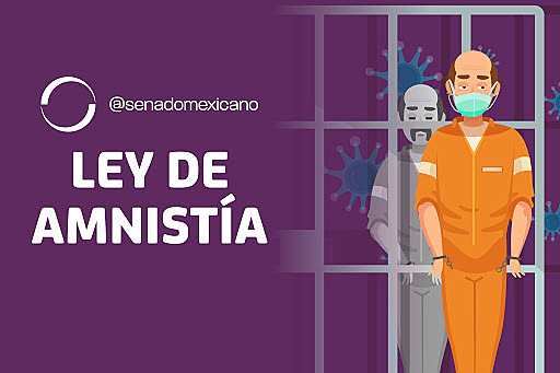 Ley de Amnistía