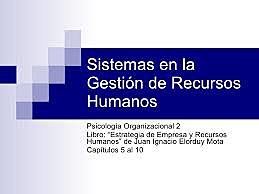 Hubo un énfasis en las empresas de éxito y se buscó alcanzar sistemas de la gestión de recursos humanos (GRH) a través de modelos conceptuales.
