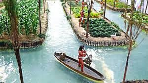 invención de las chinampas