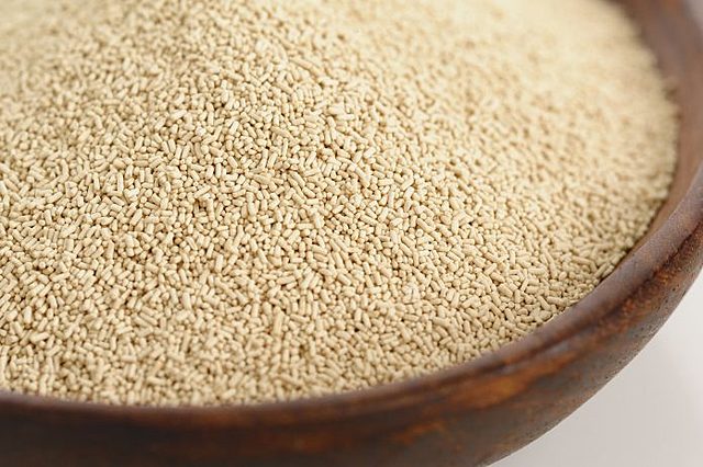 Biorreactores para la producción de levadura