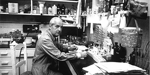 Fisiología en América Latina