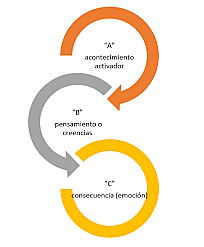 Teorías de la Personalidad: Terapia Conductual Racional Emotiva según Albert Ellis
