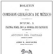 Comisión Geológica Mexicana