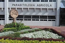 Comisión Parasitología Agrícola
