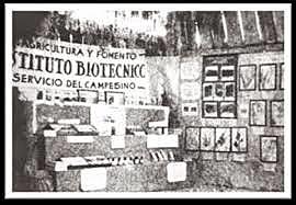 Instituto Biotécnica