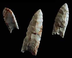 PaleoIndian 16,000 - 8,000 BCE