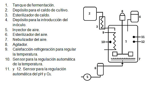Producción comercial de ácido cítrico