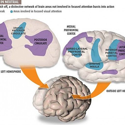 Timeline: Situation TDAH Chapitre 1