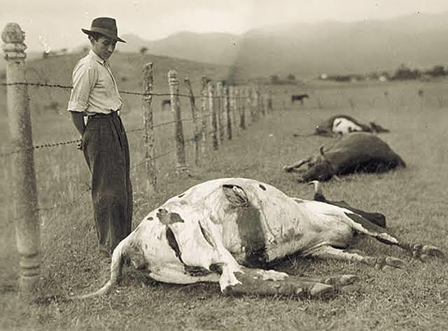 Javier Escalona Herrerías